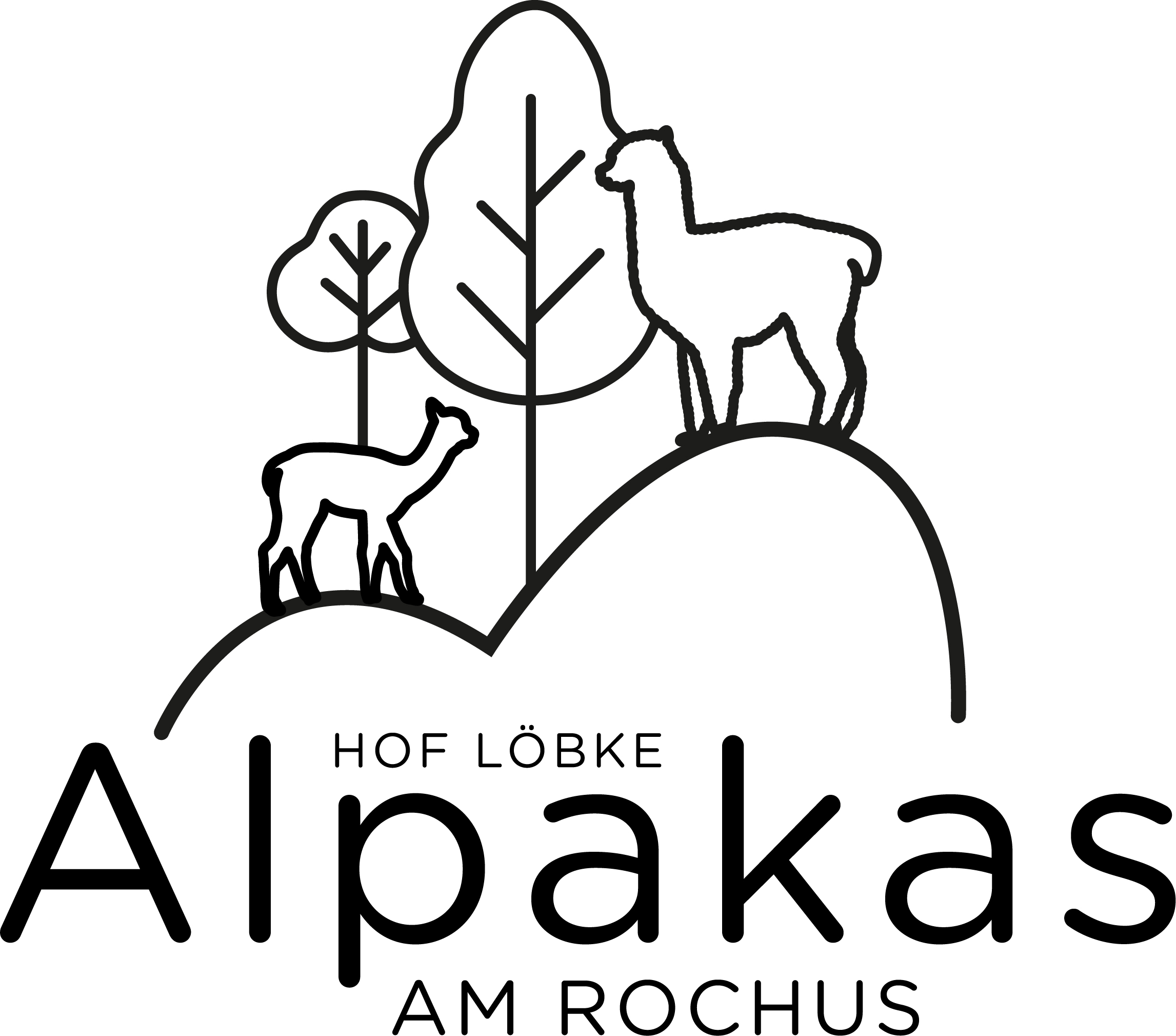 Alpakas am Rochus